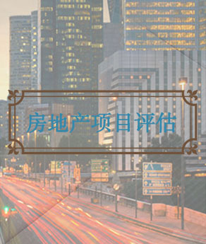 山西房地产项目评估