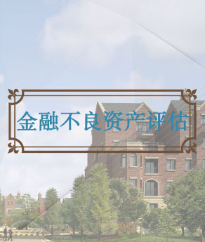 山西金融不良资产评估